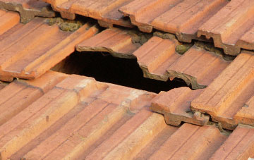 roof repair Lower Burton, Herefordshire